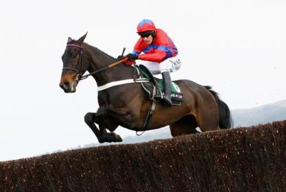 Sprinter Sacre is reported to be well by trainer Nicky Henderson